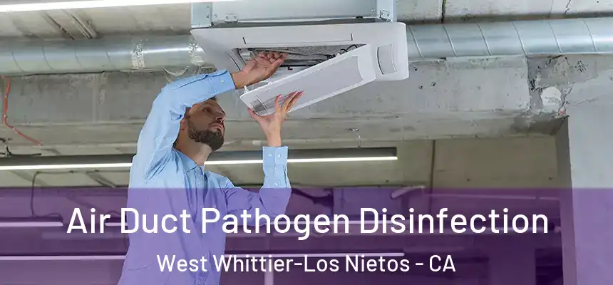  Air Duct Pathogen Disinfection West Whittier-Los Nietos - CA