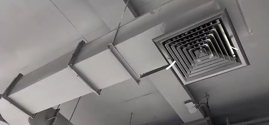 Restorative Allergy Relief Vent Cleaning – Coil, Blower & Housing Detail in West Whittier-Los Nietos