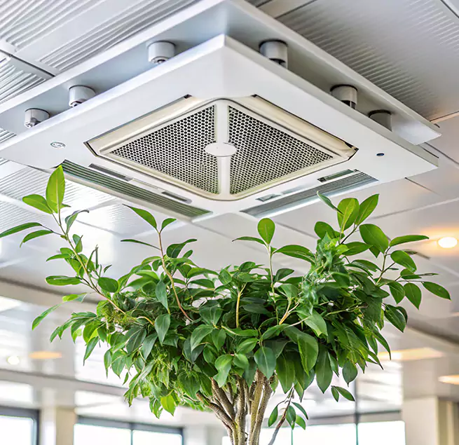 Why Homeowners & Businesses Trust Us in West Whittier-Los Nietos, CA?